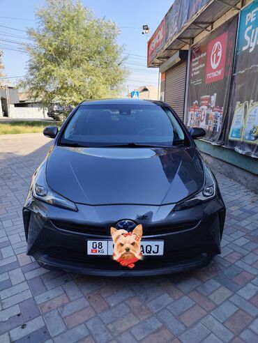 купить тойоту приус: Toyota Prius: 2019 г., 1.8 л, Вариатор, Гибрид, Хэтчбэк