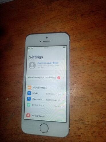 Apple iPhone: Apple iPhone iPhone SE — 10