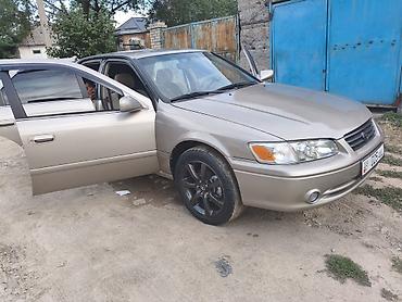 kamri 75: Toyota Camry: 2000 г., Автомат, Бензин, Седан — 8