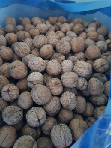 лесной орех: Продаю грецкие орехи, средний размер. Очень вкусные, 12кг