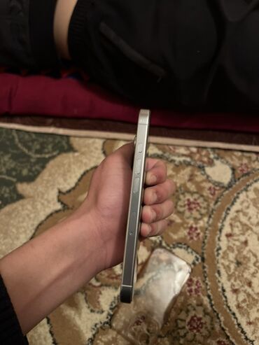 Apple iPhone: IPhone 16 Pro, Б/у, 256 ГБ, Серебристый, Чехол, 98 % — 6