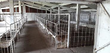 Продажа сельхозпредприятий: Farm КРС, 75 соток, Канализация, Скважина — 15