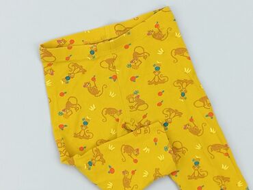 legginsy i krótkie spodenki: Legginsy dziecięce, Palomino, 3-4 lat, 104, stan - Idealny