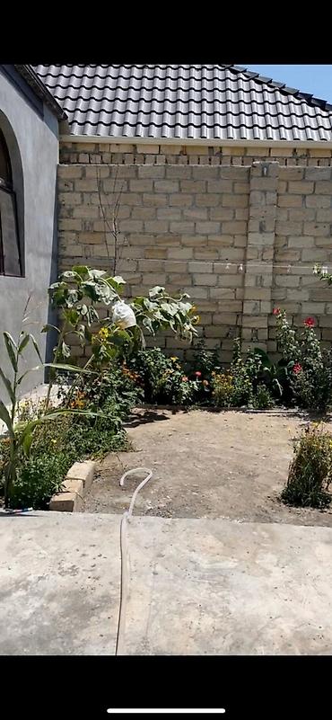 nesimi bazar: 3 otaqlı, 2 kv. m, Yeni təmirli — 8