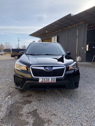 Subaru: Subaru Forester: 2019 г., 2.5 л, Автомат, Бензиновая, Кроссовер — 4