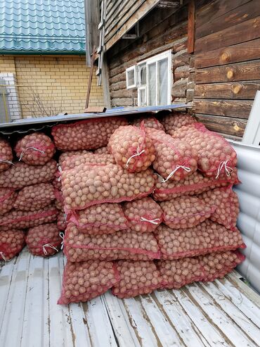 мешки для овощей: Картошка Дүңүнөн