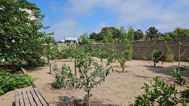 Bağ evlərinin satışı: Bakı, Mərdəkan, 100 kv. m, 5 otaqlı, Hovuzsuz — 5