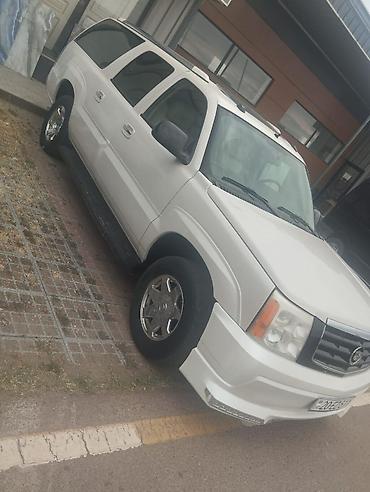gazel diski tekeri: Cadillac Escalade: 6 l | 2005 il 471000 km Krossover — 6