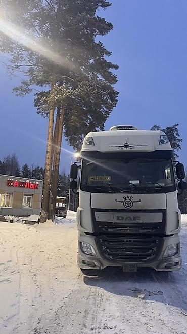 вольва fh 2009: Тягач, DAF, 2016 г., Тентованный — 3