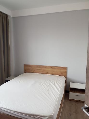 Покраска: Покраска стен и потолков “под ключ” Профессиональные малярные работы — 3