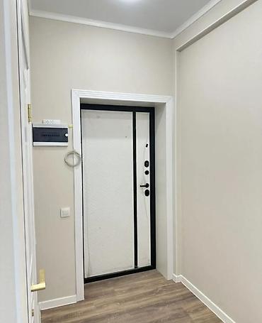 45: 1 комната, 45 м², Пишпек Элитка, 8 этаж, Евроремонт — 9