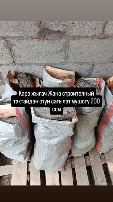домашний кури: Дрова Карагач