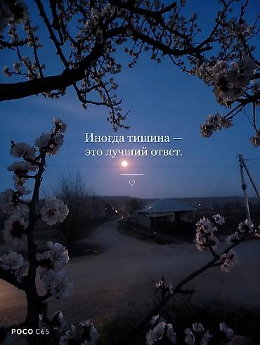тишью: Постер/фотопечать с цитатой - Изображение: вечерний пейзаж с лунным — 1