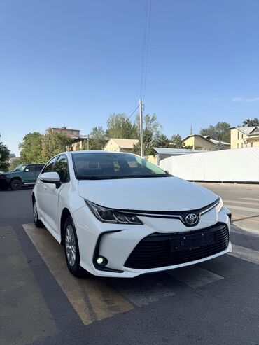 авто в рассрочку в бишкеке без процентов: Toyota Corolla: 2020 г., 1.2 л, Автомат, Бензин, Седан