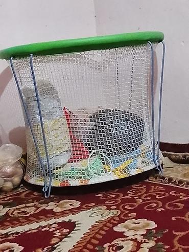 киви карта: Корзина для вещей, цвет - Зеленый, Б/у — 1