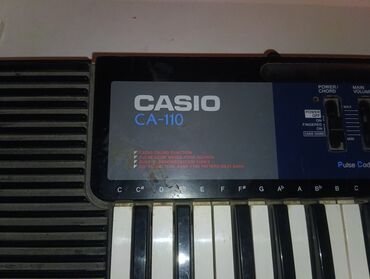 Флейты: Синтезатор, Casio, Новый, Самовывоз
