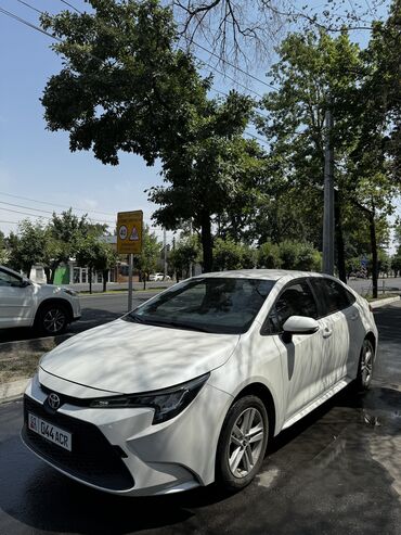 самая дорогая машина в кыргызстане: Toyota Corolla: 2019 г., 1.2 л, Автоматтык, Бензин, Седан