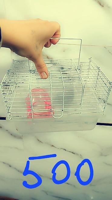 Зоотовары: Клетки и аксессуары для хомяков Варианты: - Большая клетка с высоким — 12