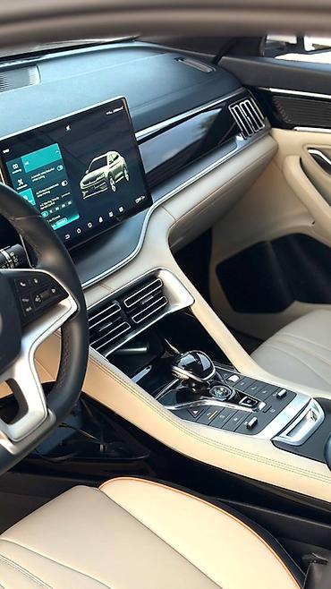 BYD: BYD Song Plus: 2021 г., 1.5 л, Робот, Электромобиль, Универсал — 11