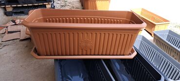 CD, DVD disklər və kassetlər: Dibcek qabi dibcek qablari gul qabi gul qablari bag ucun dibcek — 17