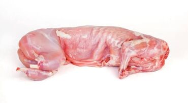 пекарь бишкек: Продаётся мясо кролика 500 сом за кг