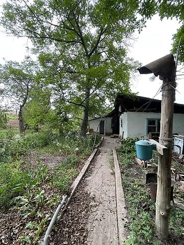 Продажа коттеджей и домов: Ысык -Көлдүн түштүк тарабынан Кажы- Сай айылынан үй сатылат . Участогу — 12