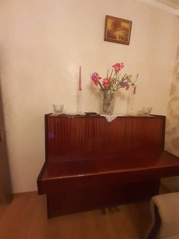 пианино сколько стоит: Piano Satılır. Çox az istifadə olunub, əla vəziyyətdədir. Səsi təmiz