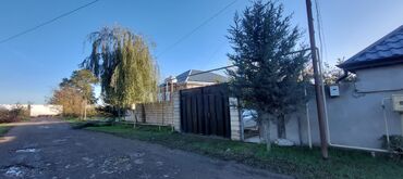 Bağ evlərinin satışı: Xudat, 45 kv. m, 2 otaqlı, Hovuzsuz, Su, İşıq, Qaz -da lalafo.az — 3 Bağ evlərinin satışı: Xudat, 45 kv. m, 2 otaqlı, Hovuzsuz, Su, İşıq, Qaz — 3