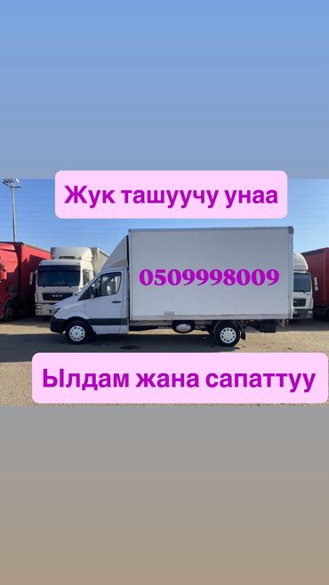 цена на мясо в бишкеке сегодня баранина: Porter, Мал ташуу, Регион боюнча, Шаар ичинде, жүк ташуучу жумушчусу менен