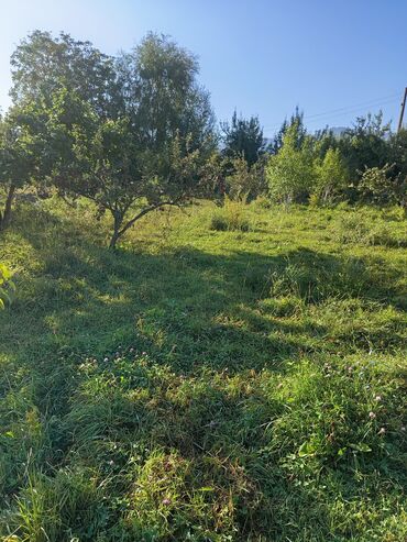 чалдыбар дом: 7 соток, Курулуш, Кызыл китеп
