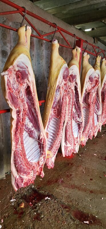 куплю мясо оптом в бишкеке: Мясо свинное домашнее,частями, полутушами тушами,пожирнее похудее