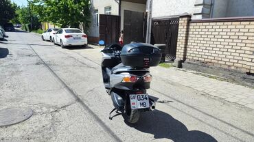 купить трехколесный мотороллер: Макси скутер Honda, 250 куб. см, Бензин, Б/у