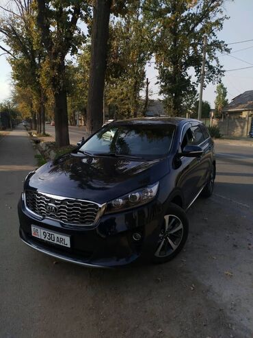 led прожектор: Kia Sorento: 2019 г., 2 л, Автомат, Дизель, Внедорожник