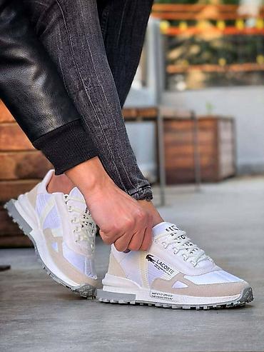 Patike: Muške Lacoste patike veličine 44 veličine za samo 5000 din — 17