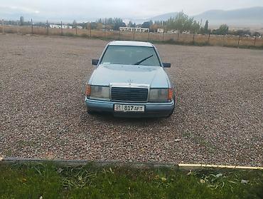Mercedes-Benz: Mercedes-Benz E-Class: 1989 г., 2.5 л, Механика, Дизель, Седан — 2