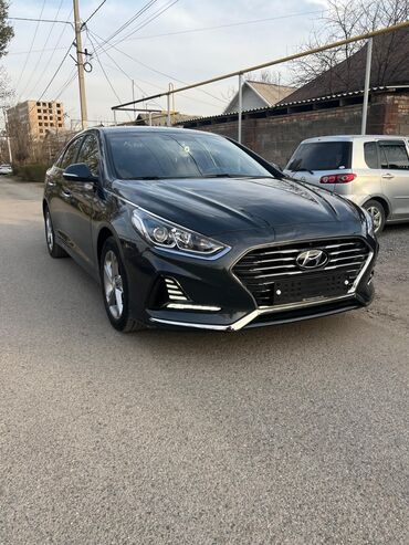 шлейф соната: Hyundai Sonata: 2018 г., 2 л, Автомат, Газ, Седан