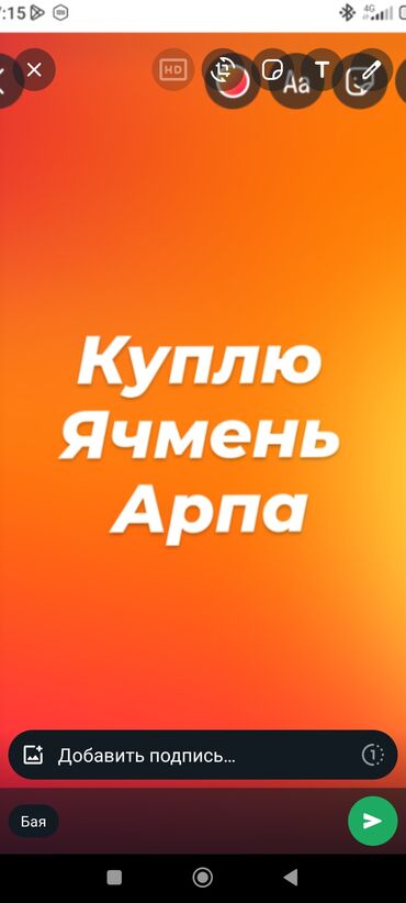 корм для крс: Куплю Ячмень тел