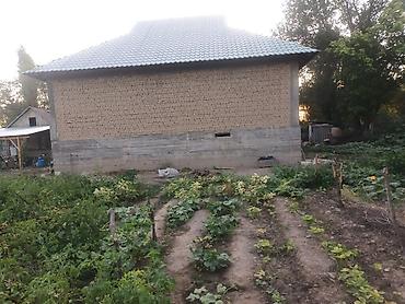 Продажа коттеджей и домов: Продаётся дом село Полтавке в одном участке два дома 1ый дом полтора — 17