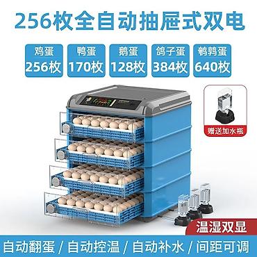 Инкубаторы: Инкубатор для яиц, полностью автоматический, «двойное питание» — 15