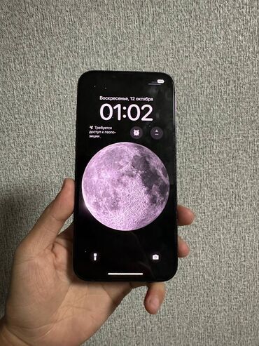 ремонт айфон бишкек: IPhone 14 Pro, Черный