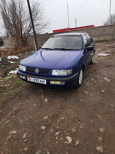 e53 amg: Volkswagen Passat: 1995 г., 1.9 л, Механика, Дизель, Седан — 1