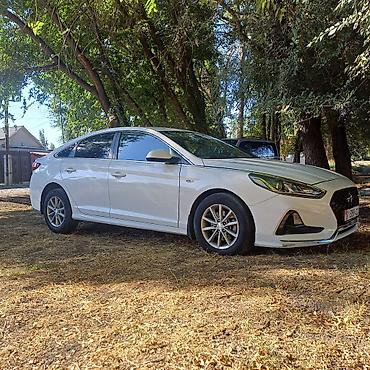 видном: Hyundai Sonata: 2019 г., Автомат, Бензин, Седан — 3