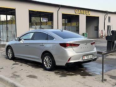 sea lion byd: Hyundai Sonata: 2017 г., 2 л, Автомат, Газ, Седан — 5
