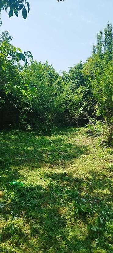 Torpaq sahələrinin satışı: Tikinti, Mülkiyyətçi, Kupça (Çıxarış) -da lalafo.az — 34 Torpaq sahələrinin satışı: Tikinti, Mülkiyyətçi, Kupça (Çıxarış) — 34