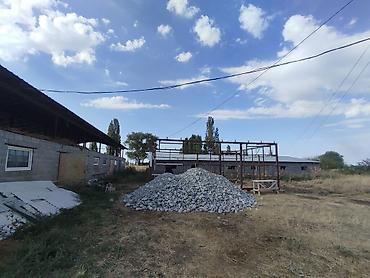 Продажа сельхозпредприятий: Кошара, 20 соток, Не действующий, Частично с оборудованием, Электричество — 14