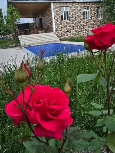 qapi ve pencere: Ev üçün digər mallar
