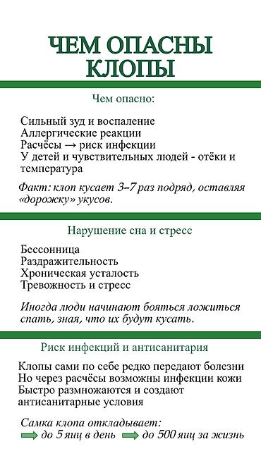 Дезинфекция, дезинсекция: Дезинфекция, дезинсекция, | Клопы, | Транспорт, Офисы, Квартиры — 6