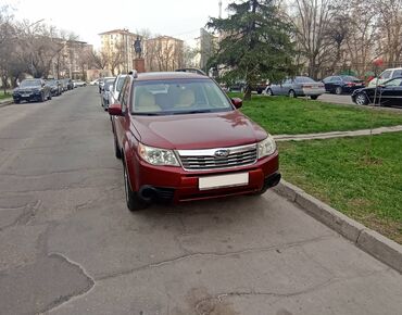 zelenyj subaru: Subaru Forester: 2008 г., 2.5 л, Автомат, Бензин, Кроссовер