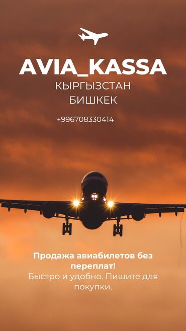 билеты бишкек москва: Продаю авиа-билеты на рейсы по выгодным ценам!💸 Ищете дешевые билеты