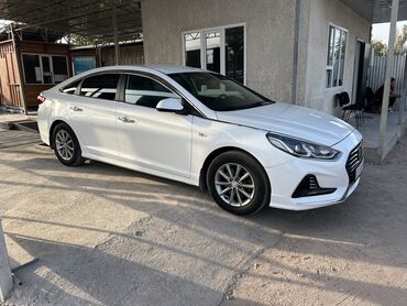 hyundai sonata 2009: Hyundai Sonata: 2019 г., 2 л, Автомат, Газ, Седан